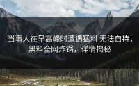当事人在早高峰时遭遇猛料 无法自持，黑料全网炸锅，详情揭秘