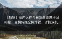 【独家】圈内人在今日凌晨遭遇秘闻揭秘，蜜桃传媒全网炸锅，详情深扒