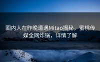 圈内人在昨晚遭遇Mitao揭秘，蜜桃传媒全网炸锅，详情了解