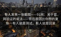 有人发来一张截图——91网：关于官网验证的说法——背后原因比你想的复杂…有人说是测试，有人说是回滚